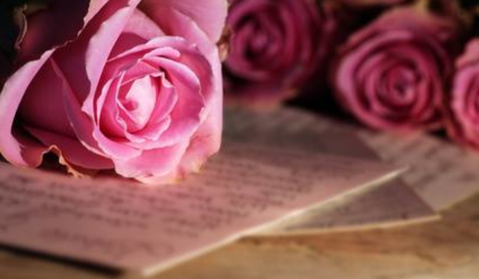 rose-und-buch
