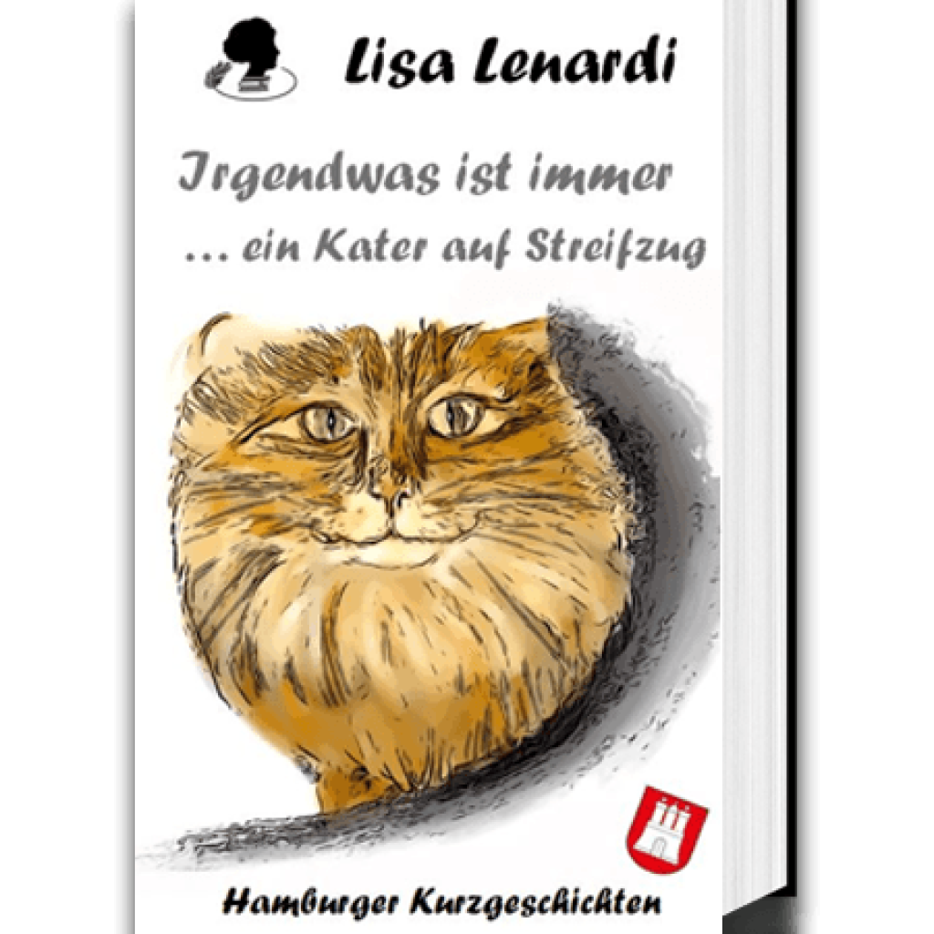 Cover SDE_Irgendwas3